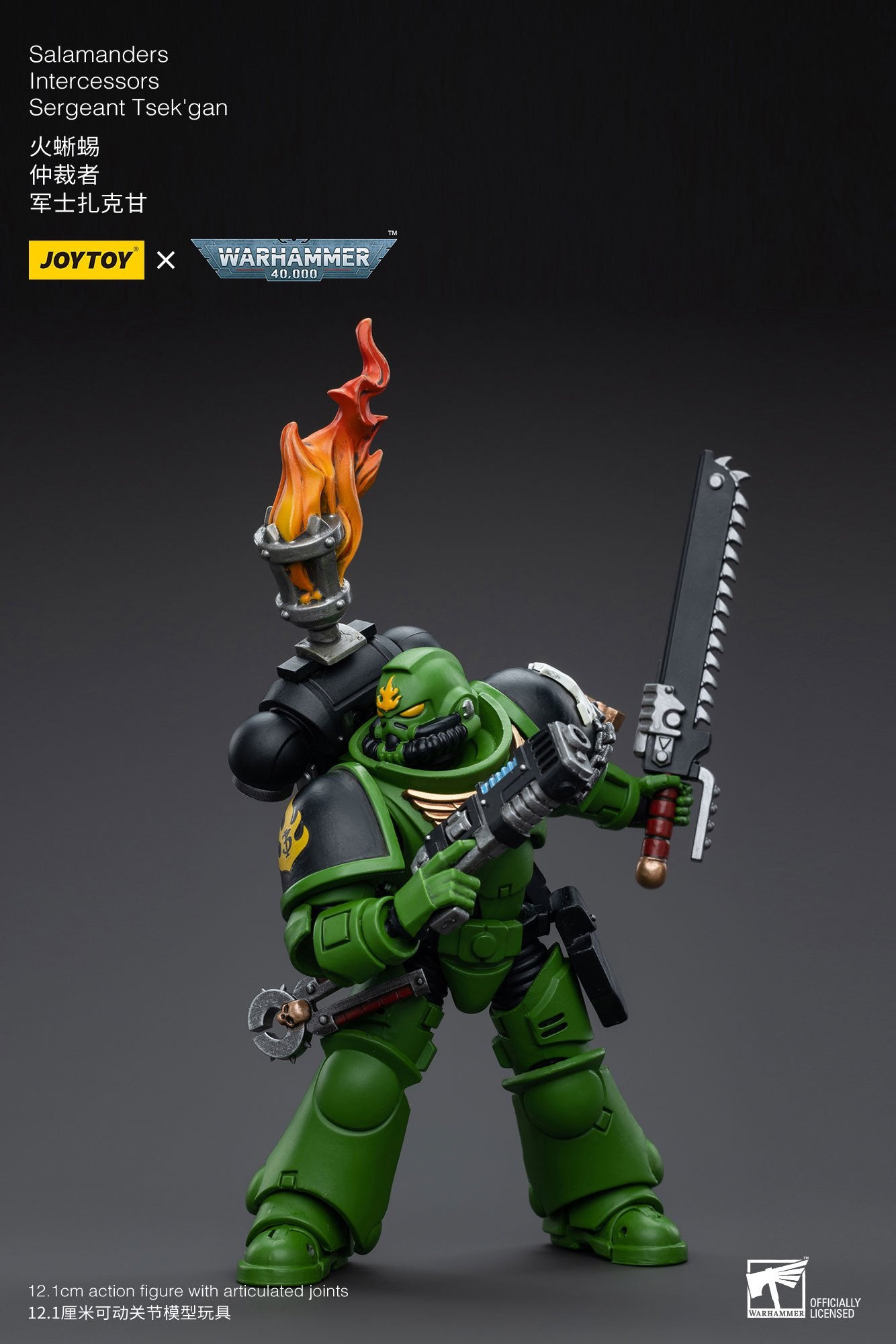 Joytoy: Salamanders Intercessors Sergeant Tsek'gan