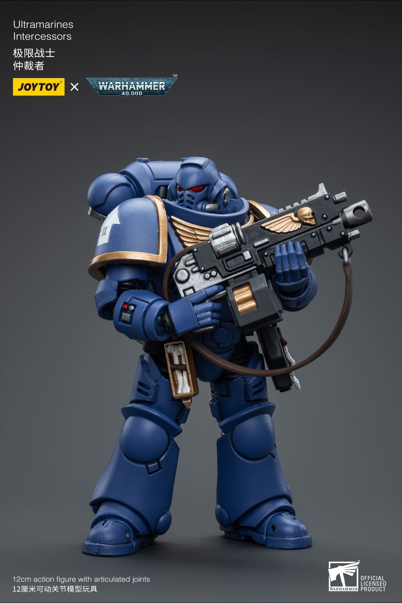 Joytoy: Ultramarines Intercessors