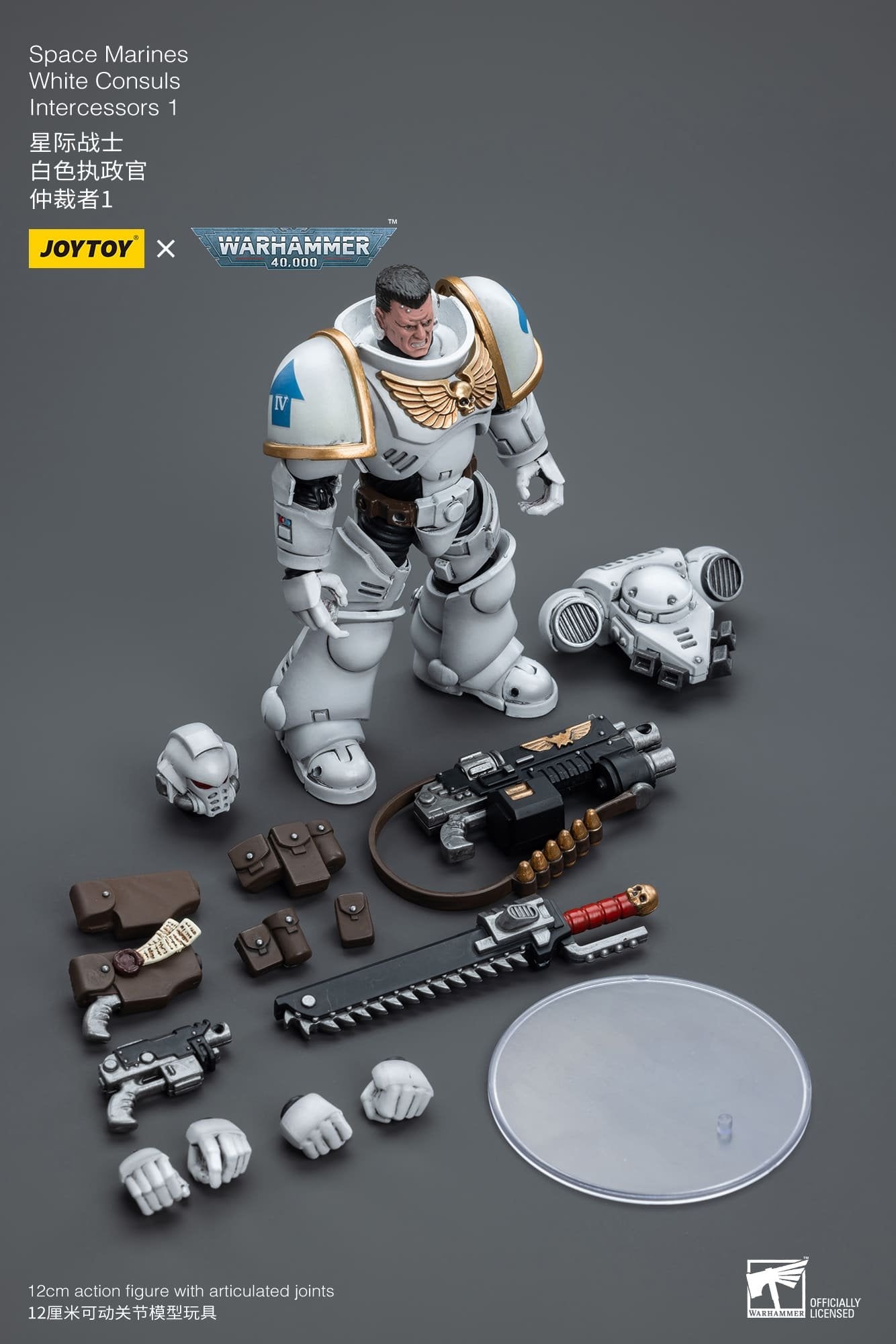 Joytoy: Space Marines White Consuls  Intercessors 1