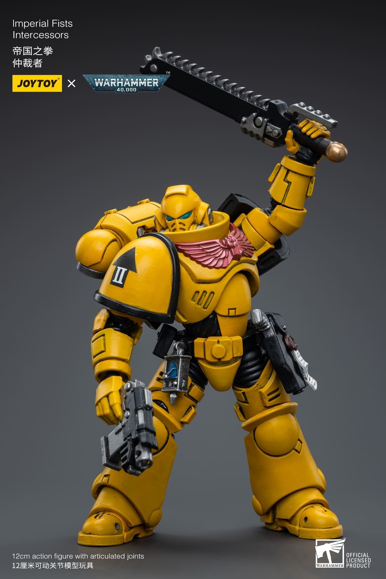 Joytoy: Imperial Fists Intercessors