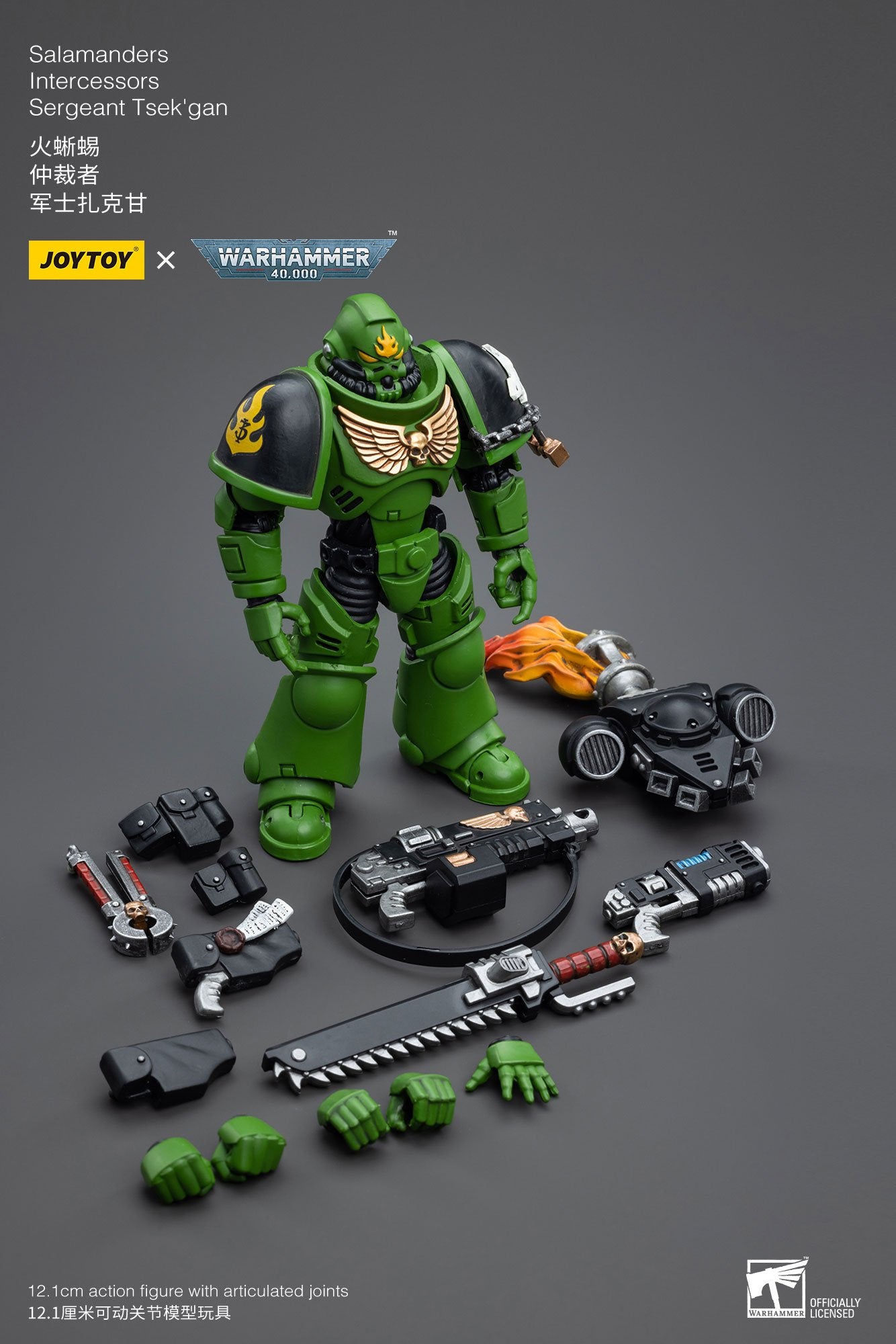 Joytoy: Salamanders Intercessors Sergeant Tsek'gan