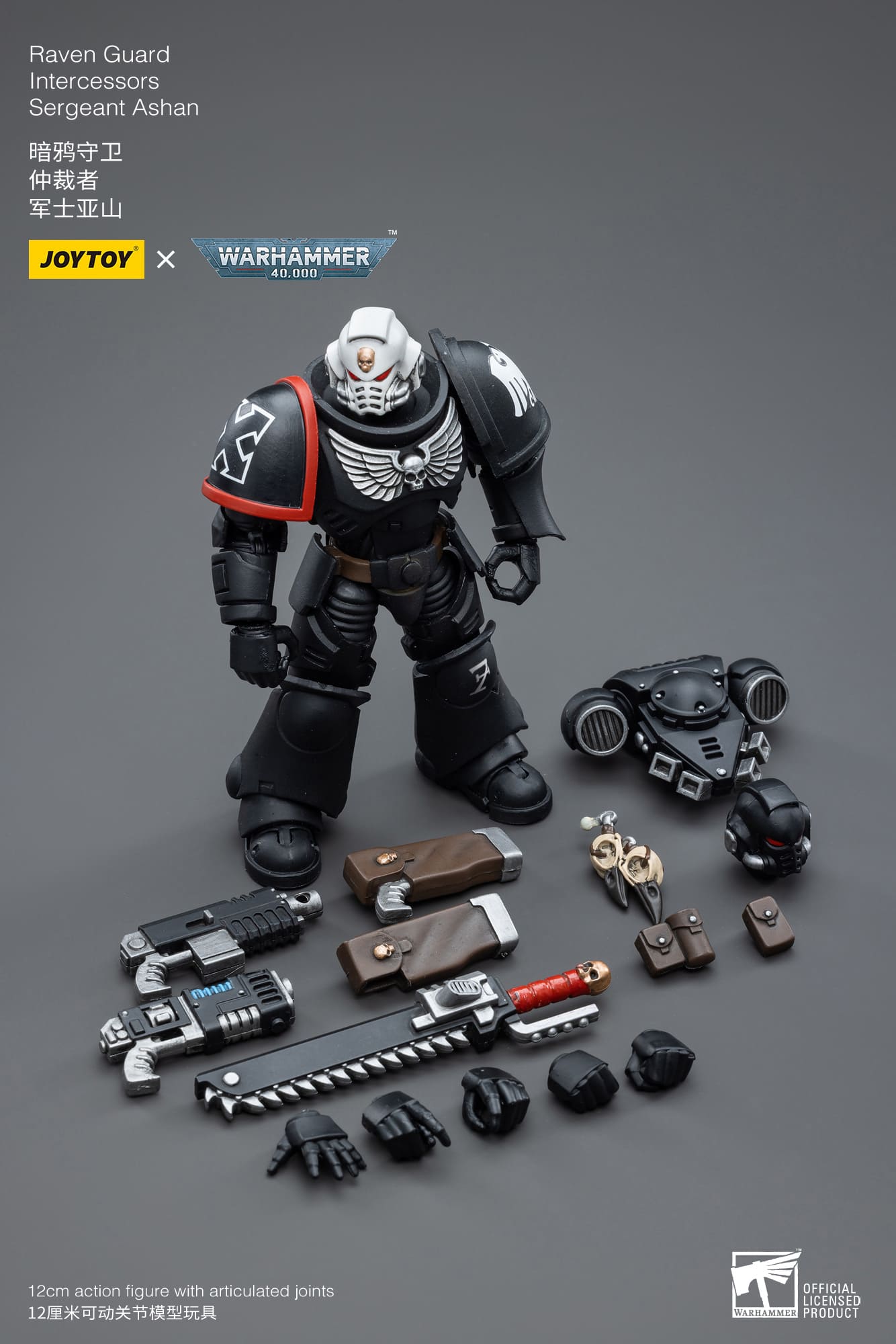 Joytoy: Raven Guard Intercessors Sergeant Ashan