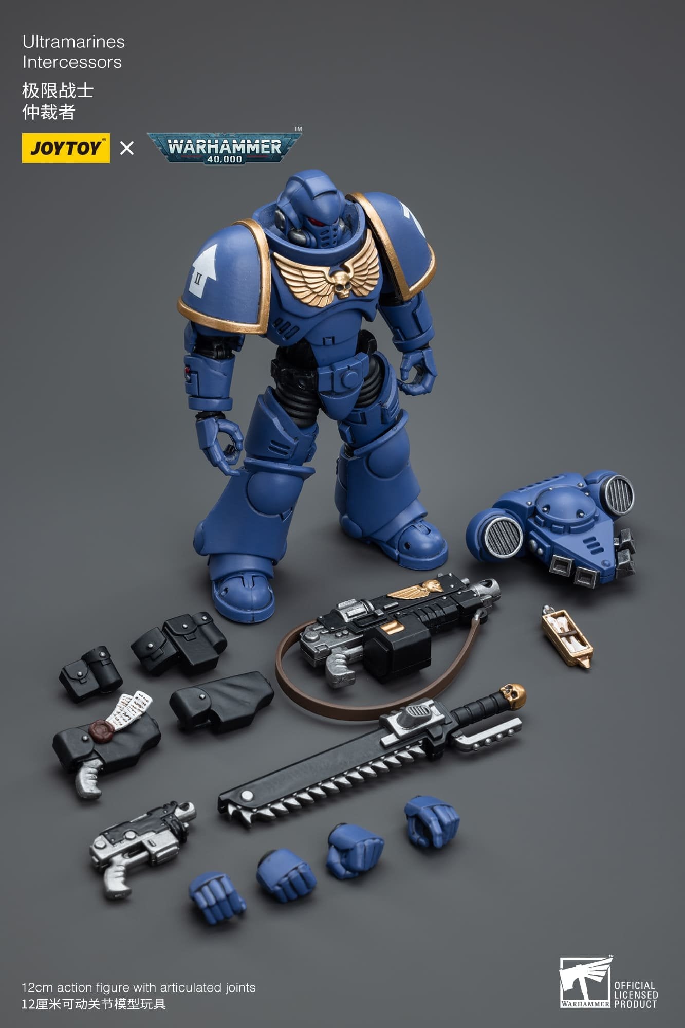 Joytoy: Ultramarines Intercessors