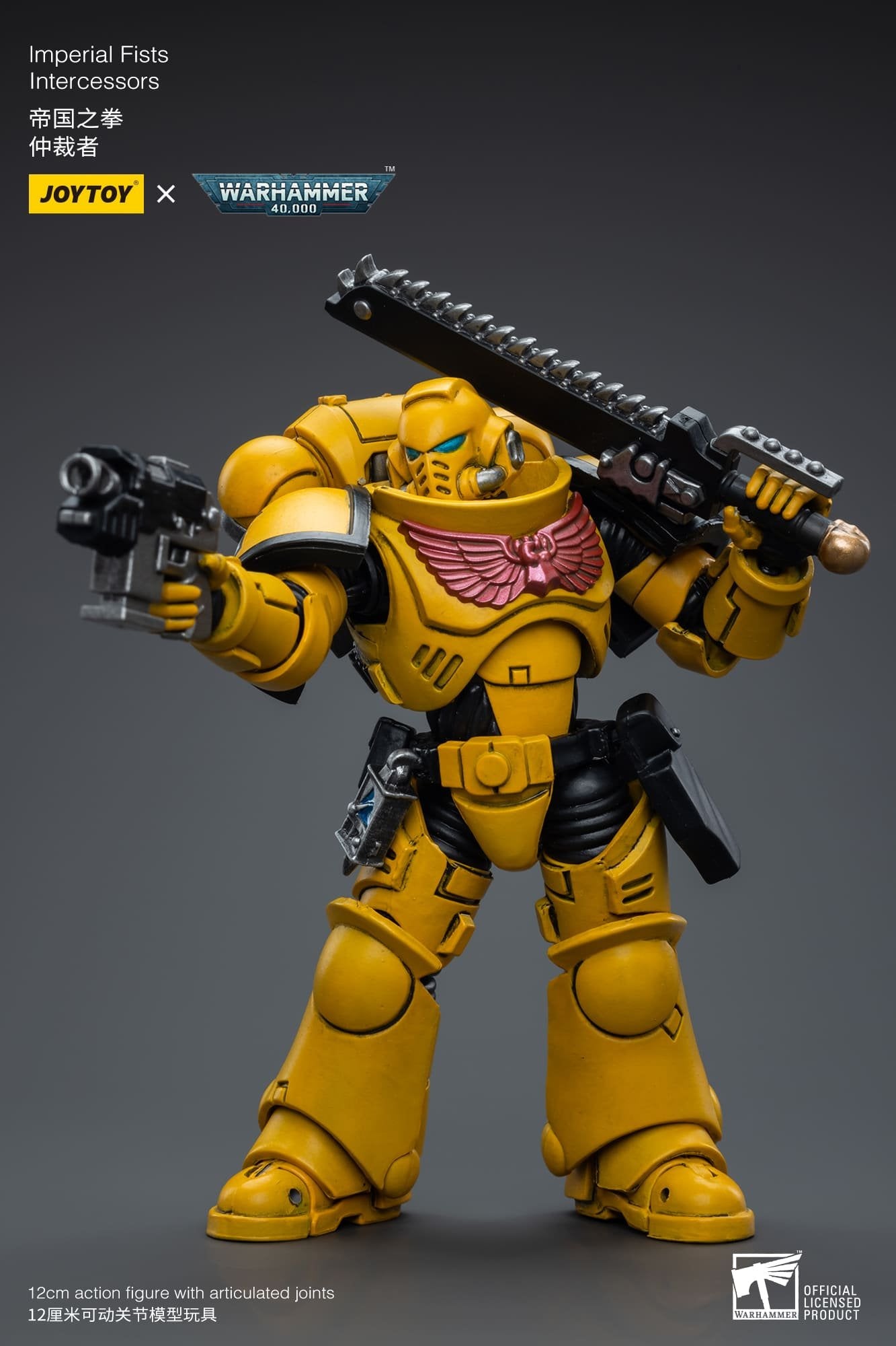 Joytoy: Imperial Fists Intercessors