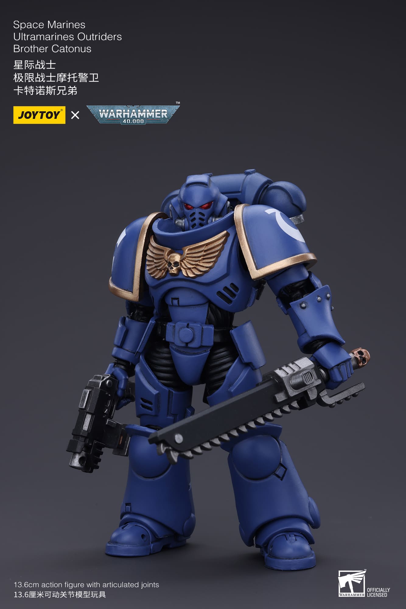 Joytoy: Ultramarines Outriders Brother Catonus