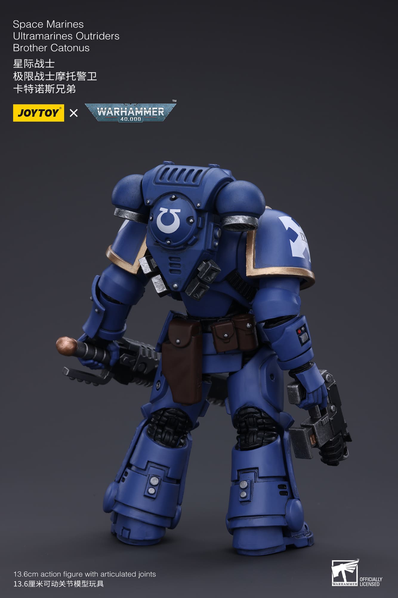 Joytoy: Ultramarines Outriders Brother Catonus