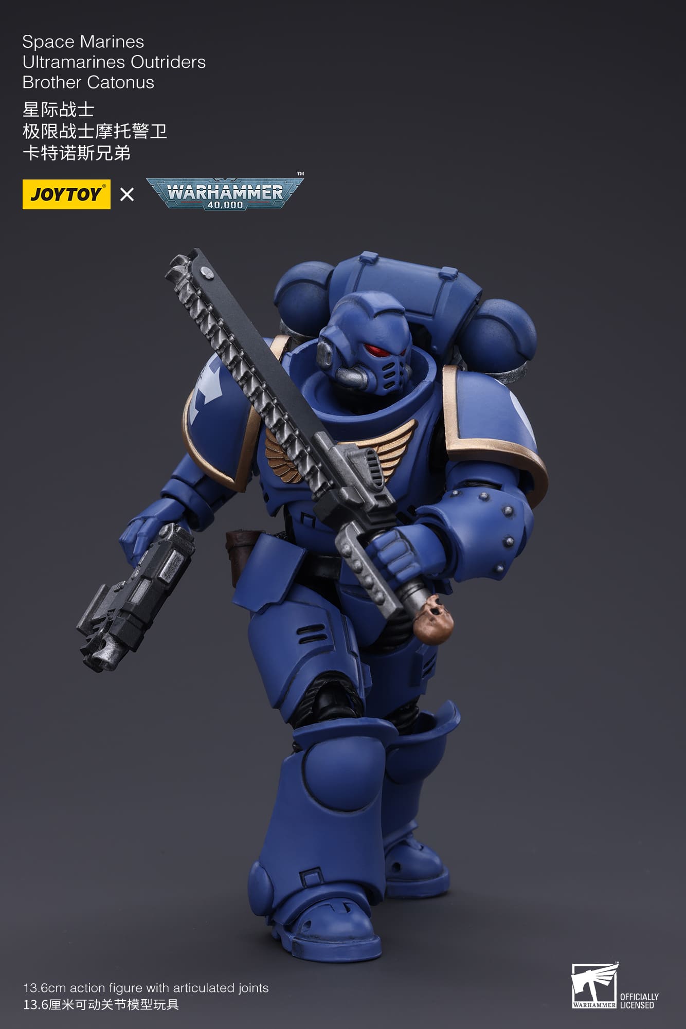 Joytoy: Ultramarines Outriders Brother Catonus