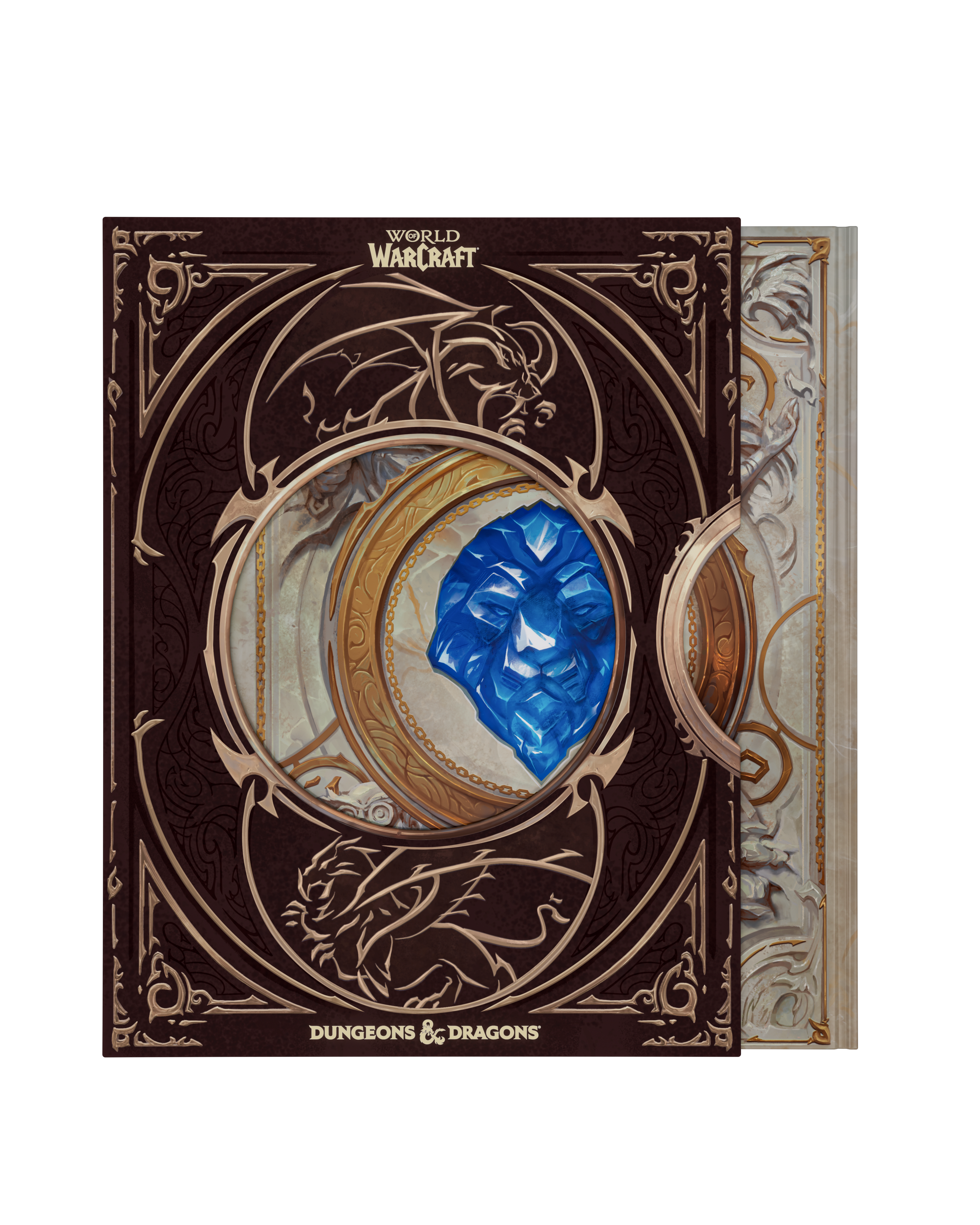 Dungeons & Dragons: World of Warcraft (Collector's Edition) [Nov 17]