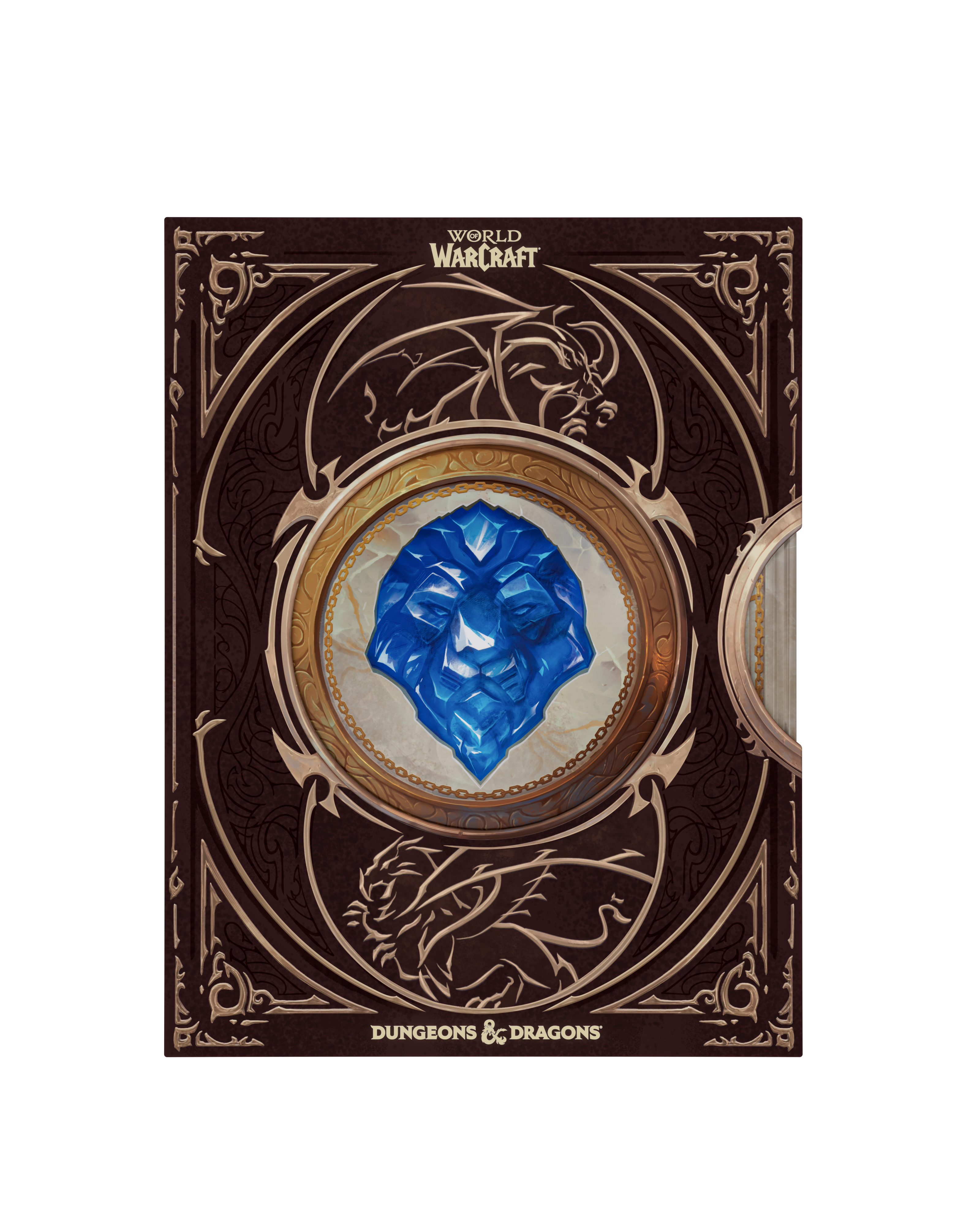 Dungeons & Dragons: World of Warcraft (Collector's Edition) [Nov 17]