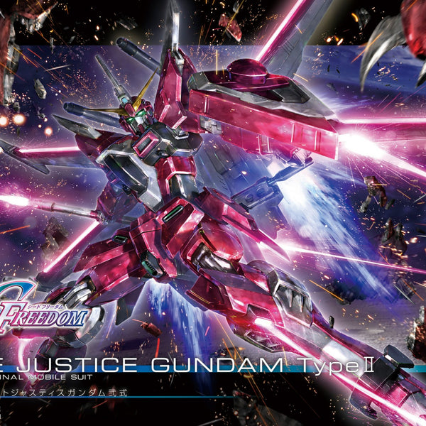 HG #251 Infinite Justice Gundam Type II