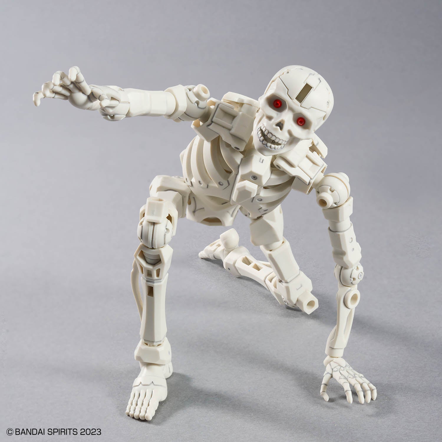 30MF Dlro Skeleton