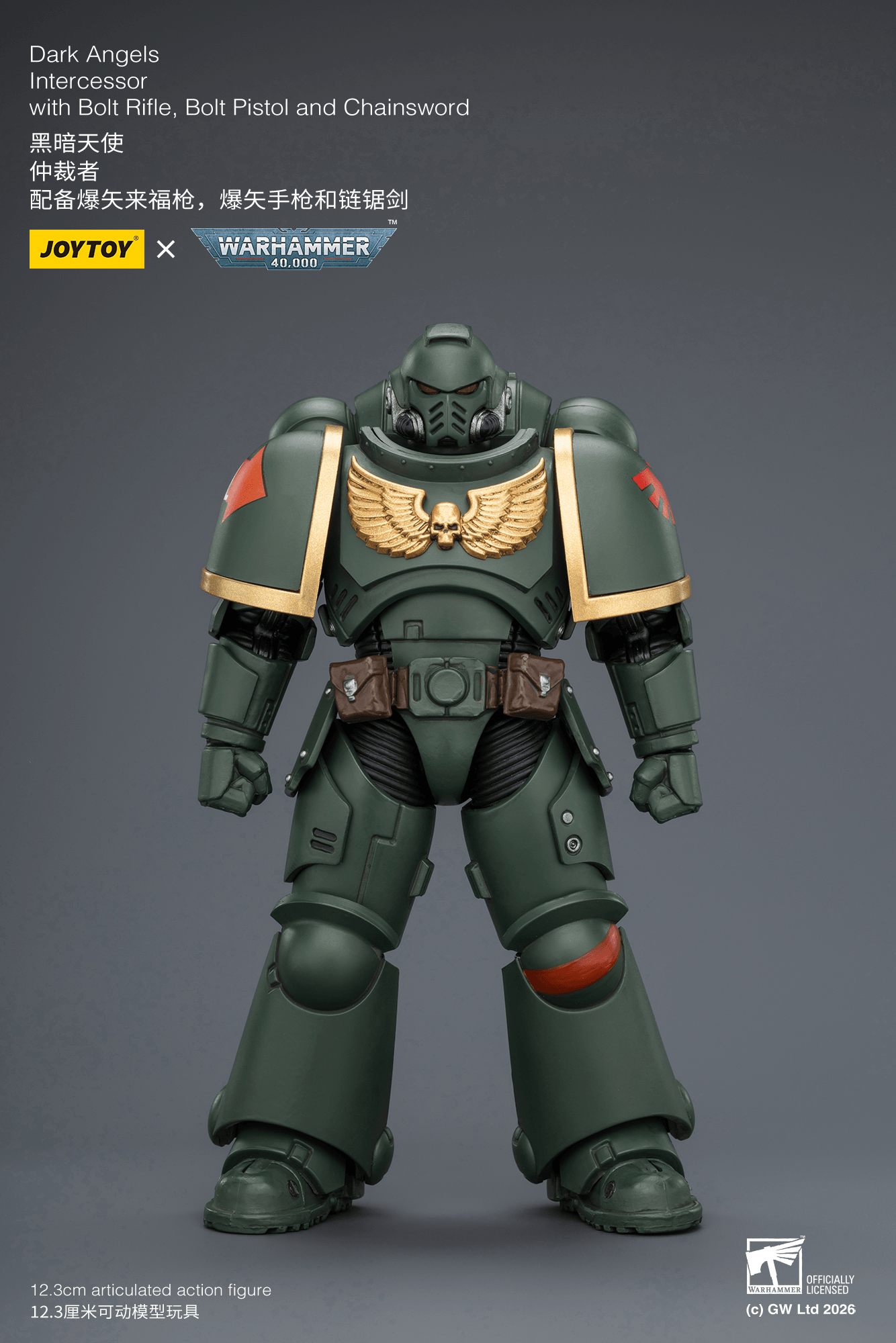 Joytoy: Dark Angels Intercessor with Bolt Rifle, Bolt Pistol and Chainsword