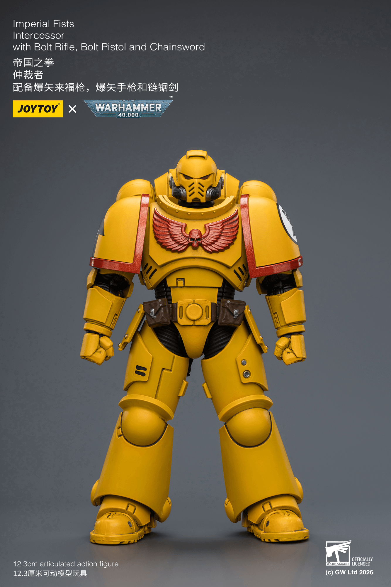 Joytoy: Imperial Fists Intercessor with Bolt Rifle, Bolt Pistol and Chainsword