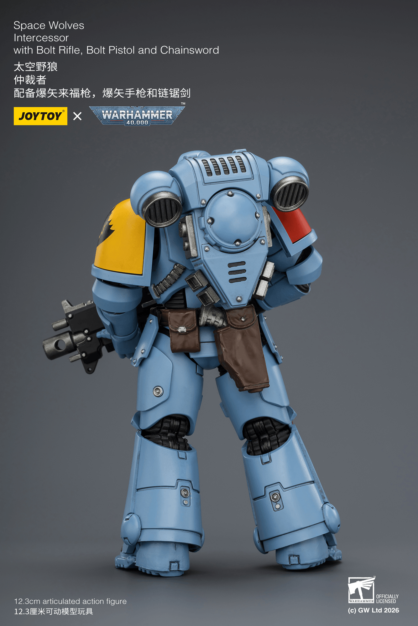 Joytoy: Space Wolves Intercessor with Bolt Rifle, Bolt Pistol and Chainsword