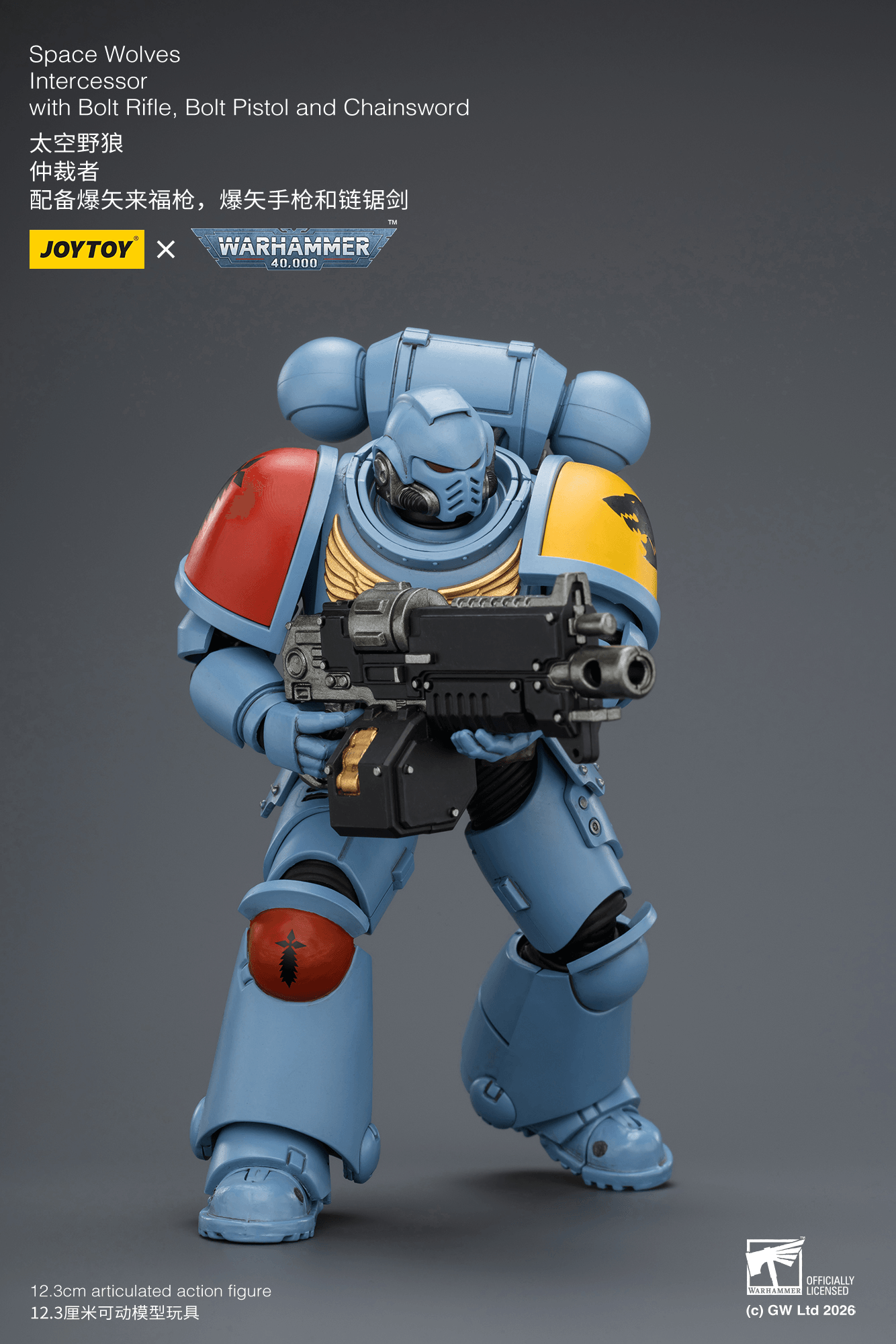 Joytoy: Space Wolves Intercessor with Bolt Rifle, Bolt Pistol and Chainsword