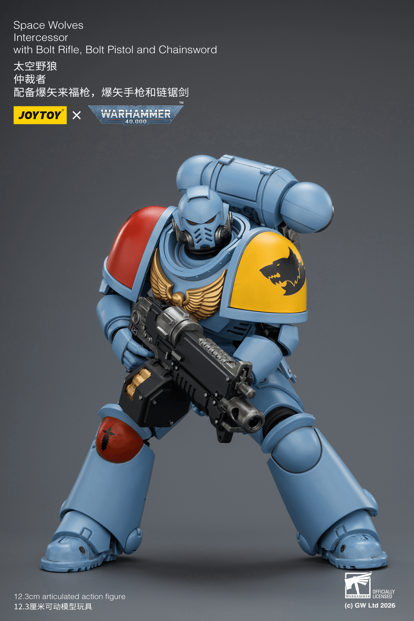 Joytoy: Space Wolves Intercessor with Bolt Rifle, Bolt Pistol and Chainsword