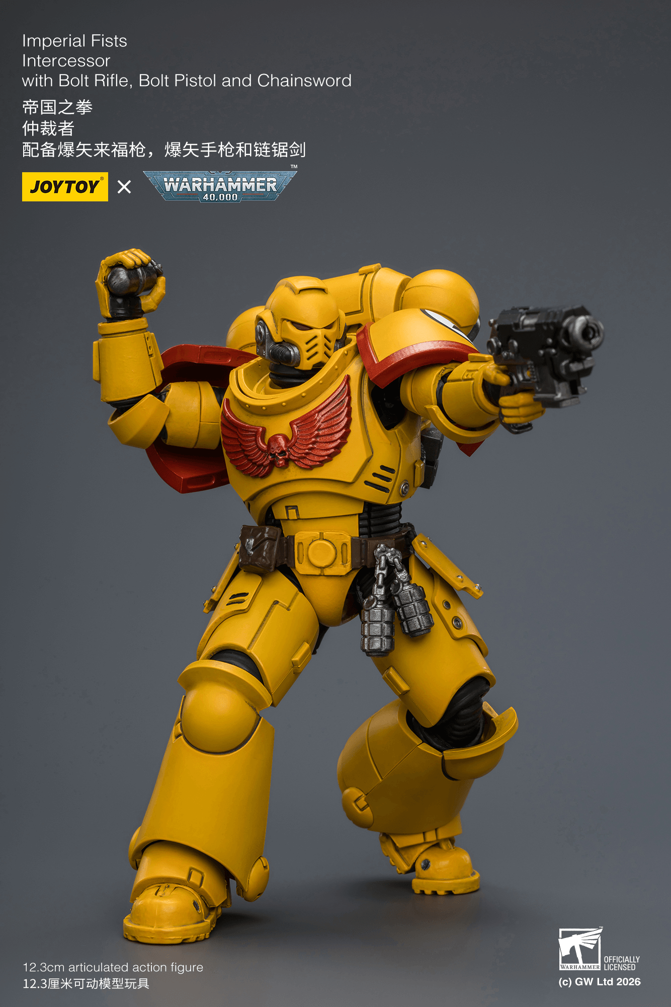 Joytoy: Imperial Fists Intercessor with Bolt Rifle, Bolt Pistol and Chainsword