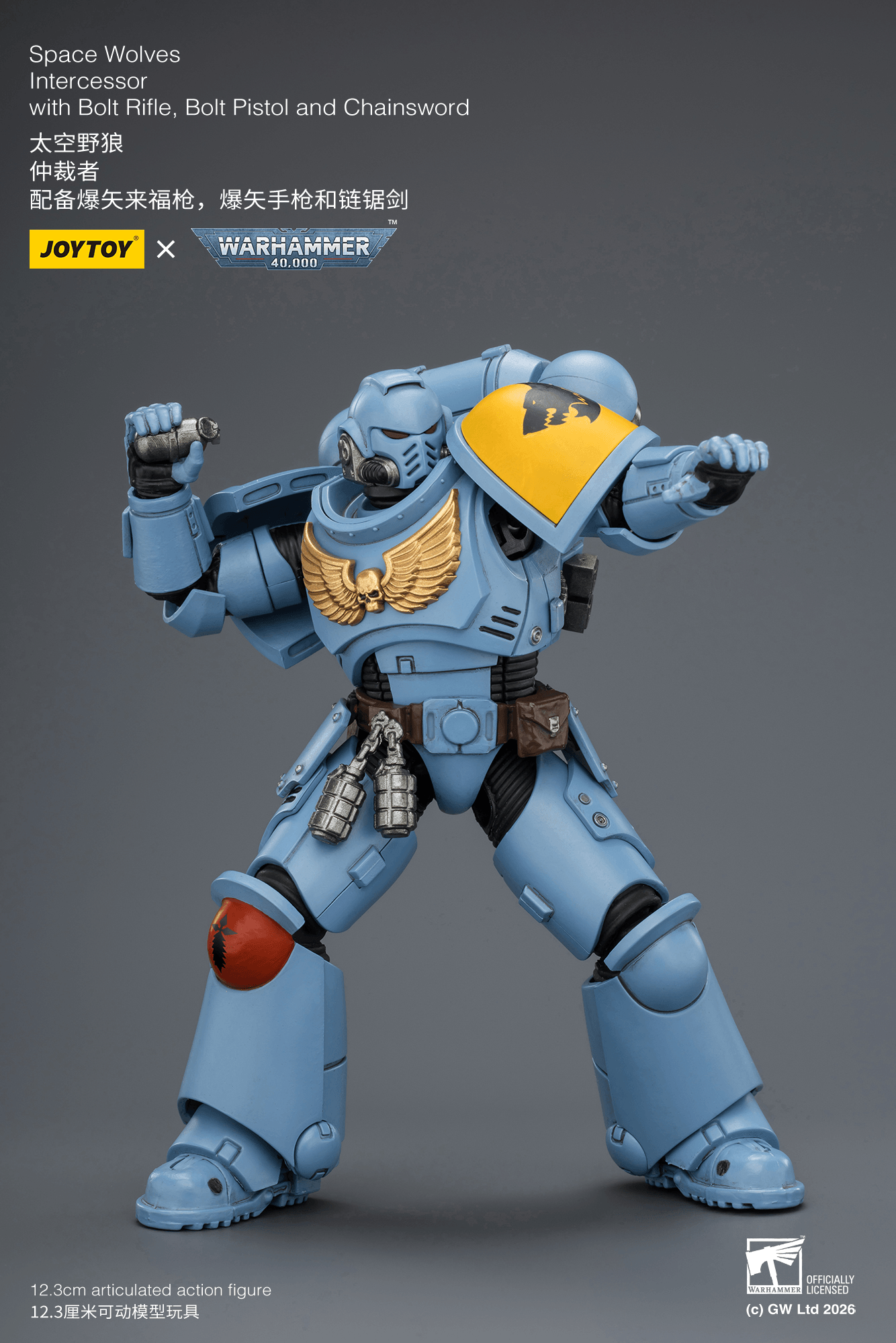 Joytoy: Space Wolves Intercessor with Bolt Rifle, Bolt Pistol and Chainsword
