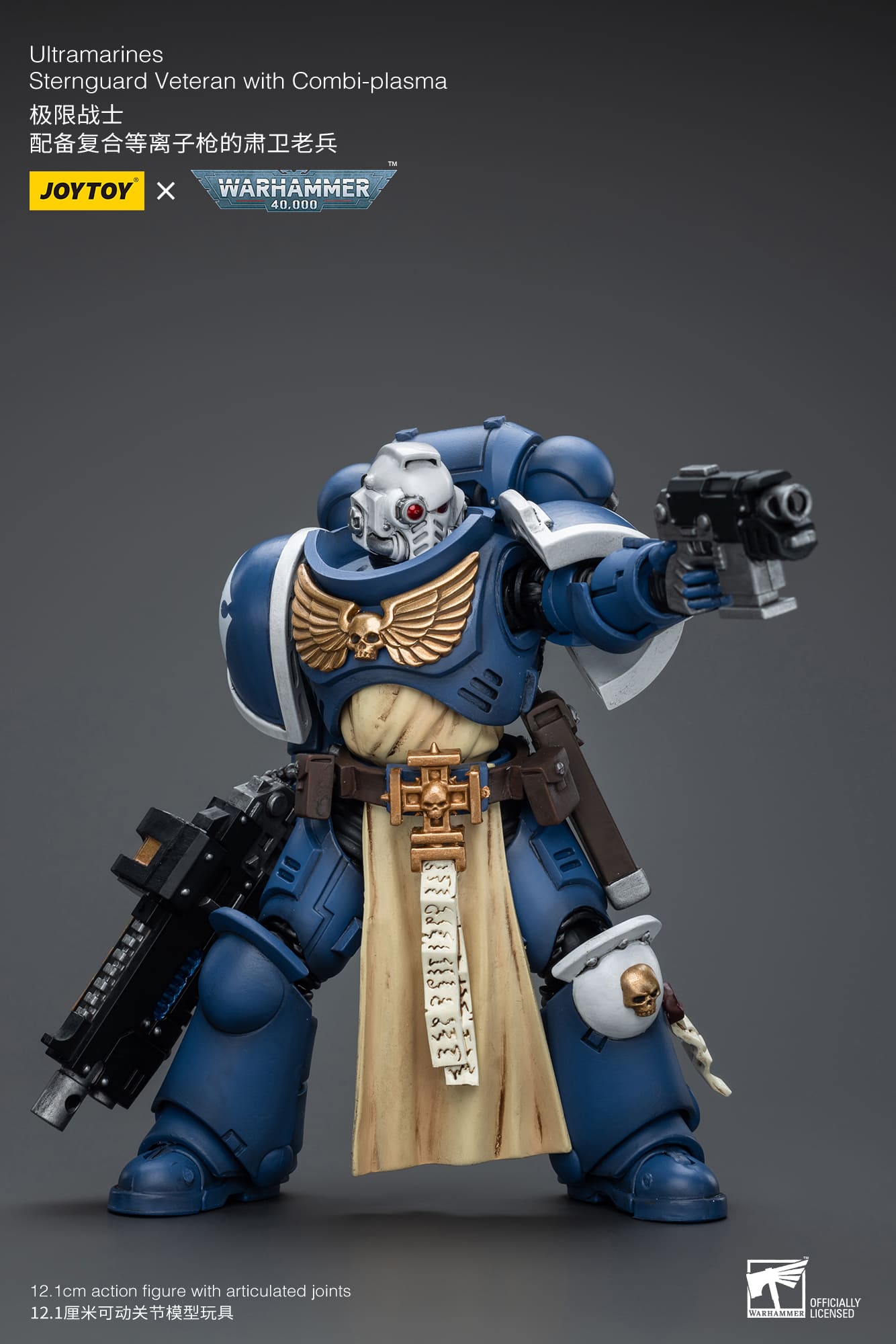 Joytoy: Ultramarines Sternguard Veteran with Combi-Plasma