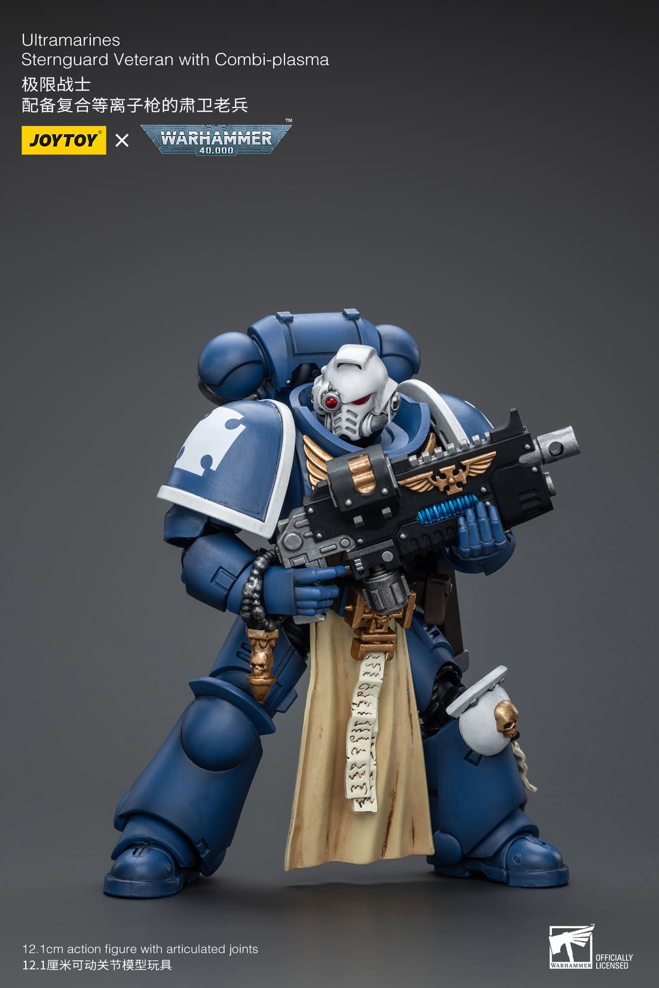 Joytoy: Ultramarines Sternguard Veteran with Combi-Plasma