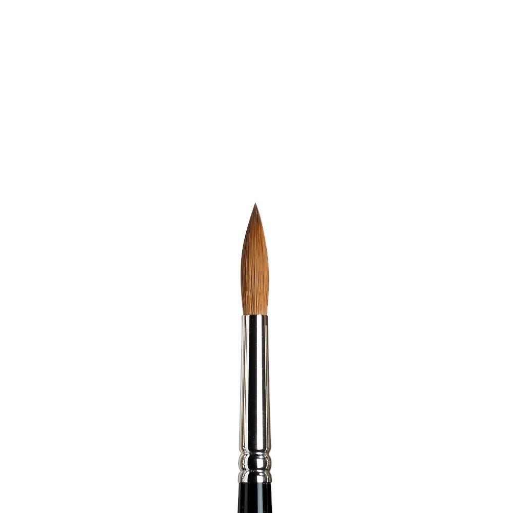 Winsor & Newton: Series 7 Kolinsky Sable Brushes - Round