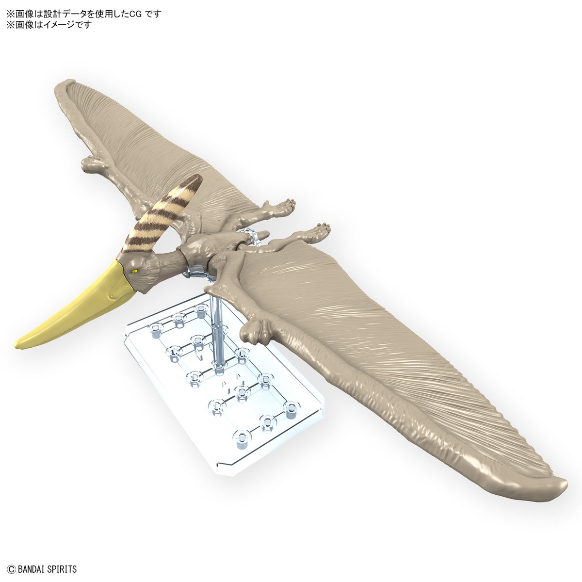 Bandai Dinosaur Model Kit Plannosaurus: Pteranodon