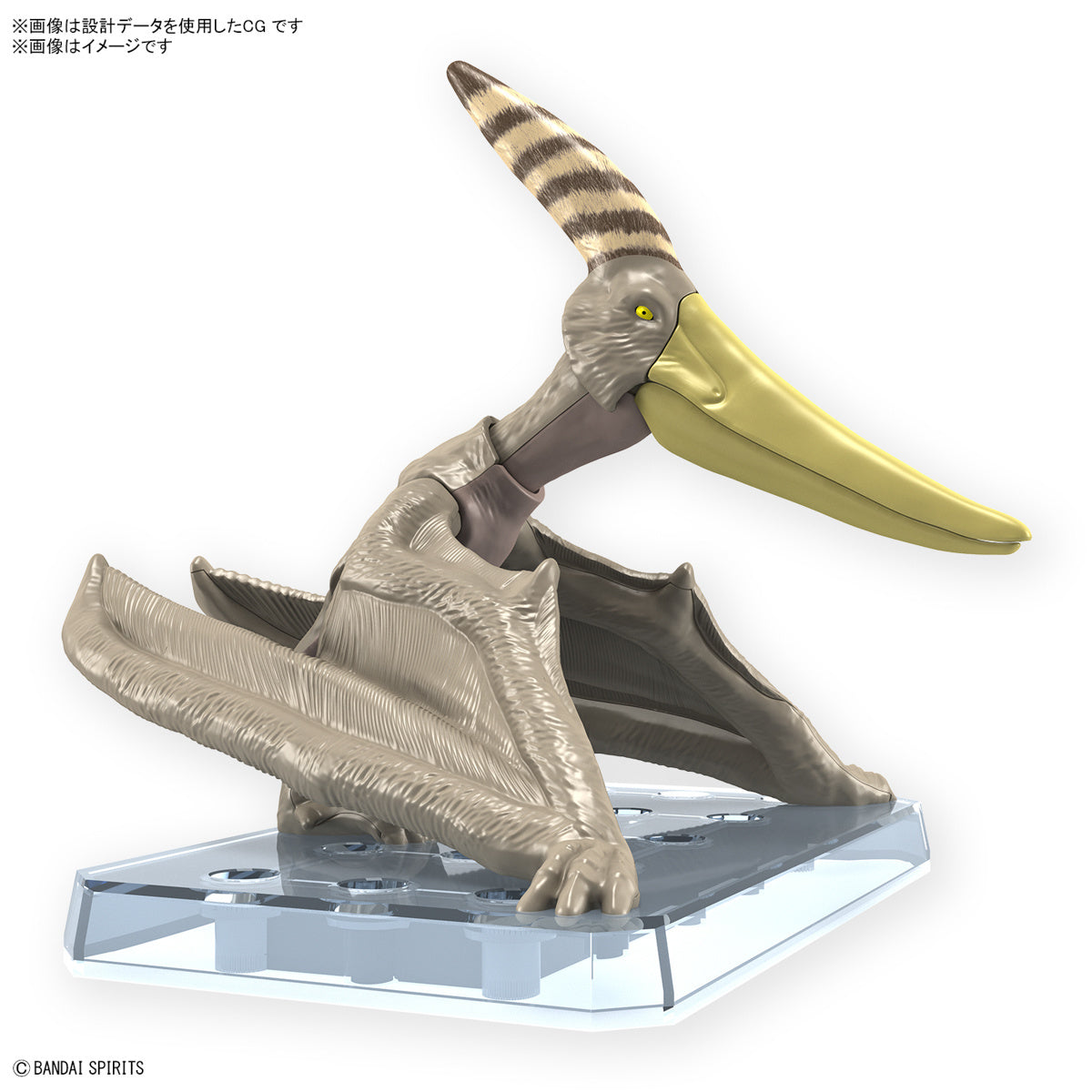 Bandai Dinosaur Model Kit Plannosaurus: Pteranodon