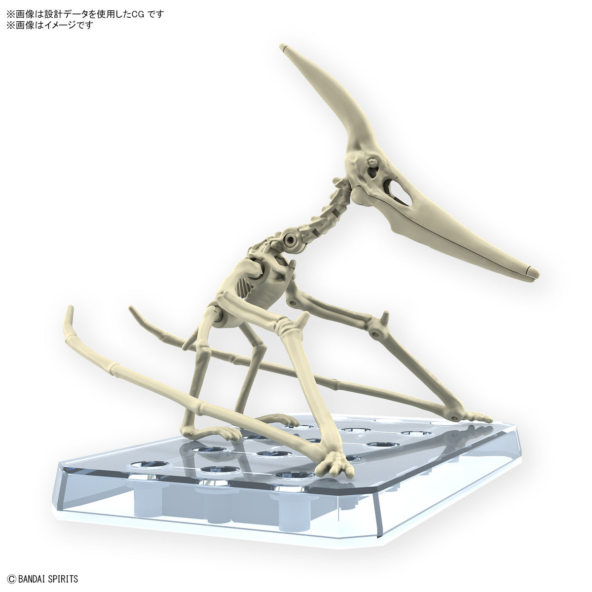 Bandai Dinosaur Model Kit Plannosaurus: Pteranodon