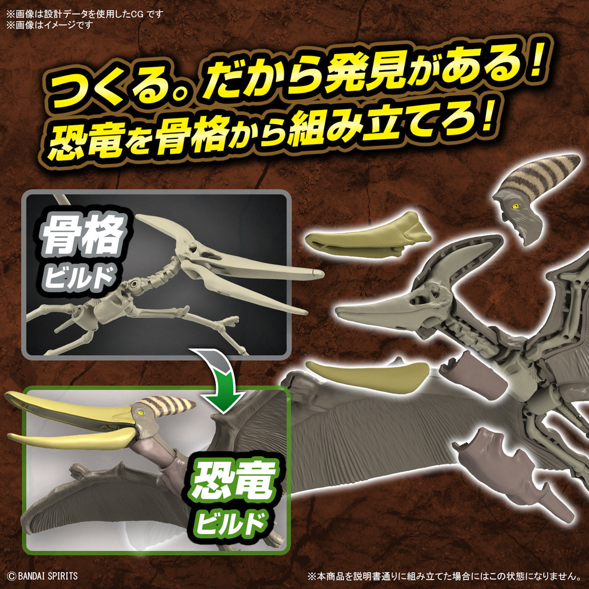 Bandai Dinosaur Model Kit Plannosaurus: Pteranodon