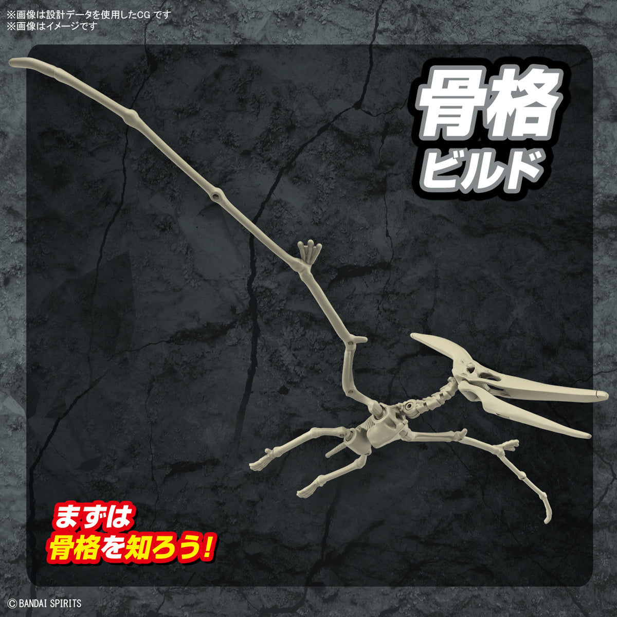 Bandai Dinosaur Model Kit Plannosaurus: Pteranodon