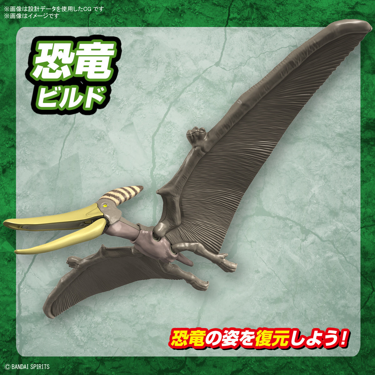 Bandai Dinosaur Model Kit Plannosaurus: Pteranodon