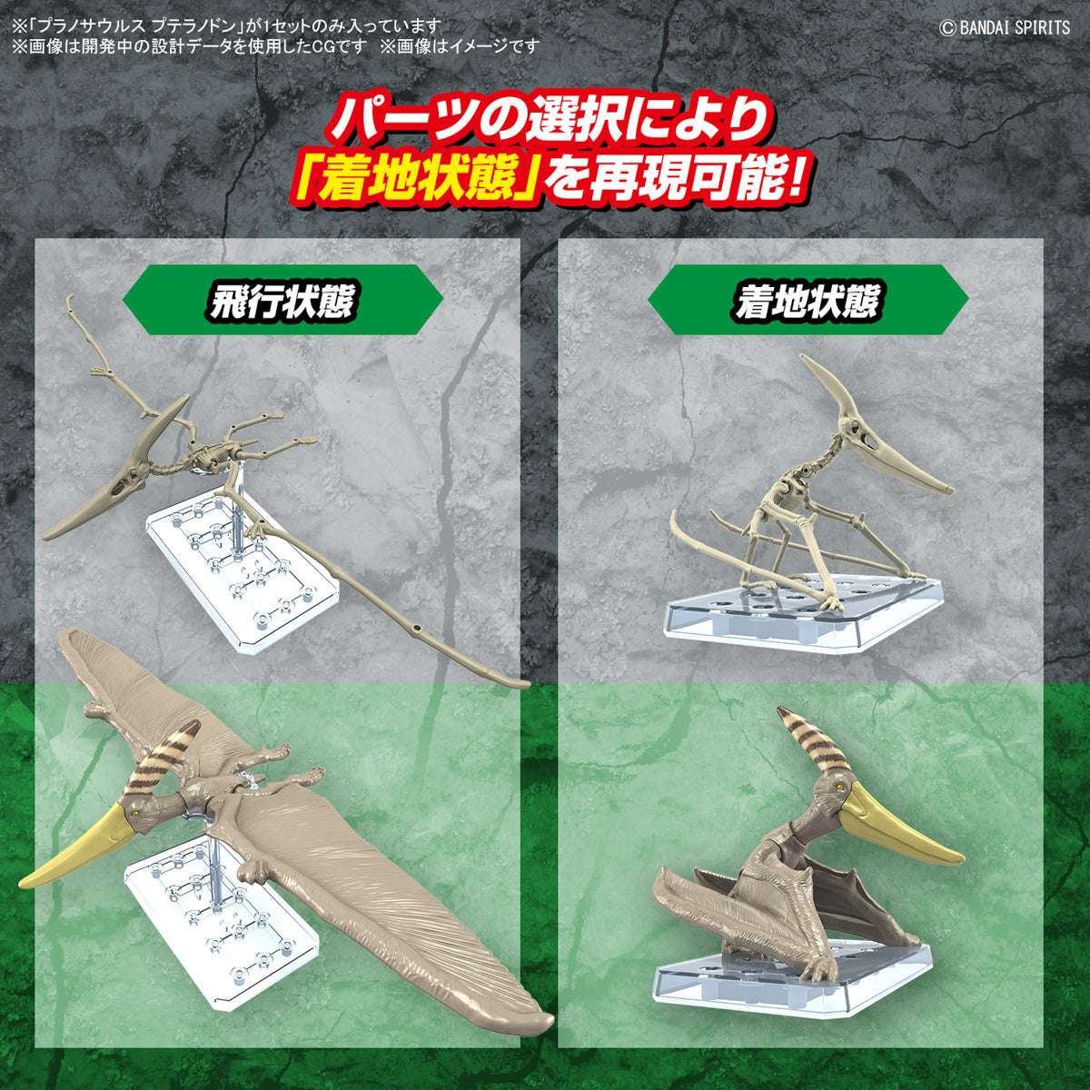 Bandai Dinosaur Model Kit Plannosaurus: Pteranodon