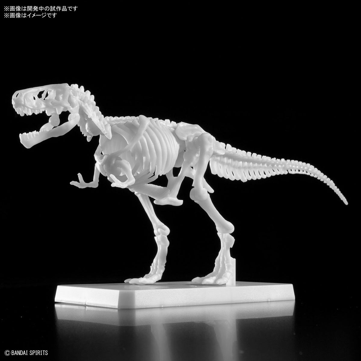 Bandai Dinosaur Model Kit Plannosaurus: Tyrannosaurus Painting Ver.