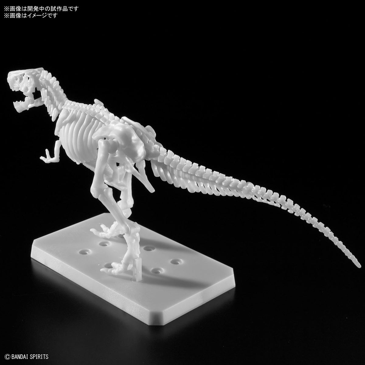 Bandai Dinosaur Model Kit Plannosaurus: Tyrannosaurus Painting Ver.