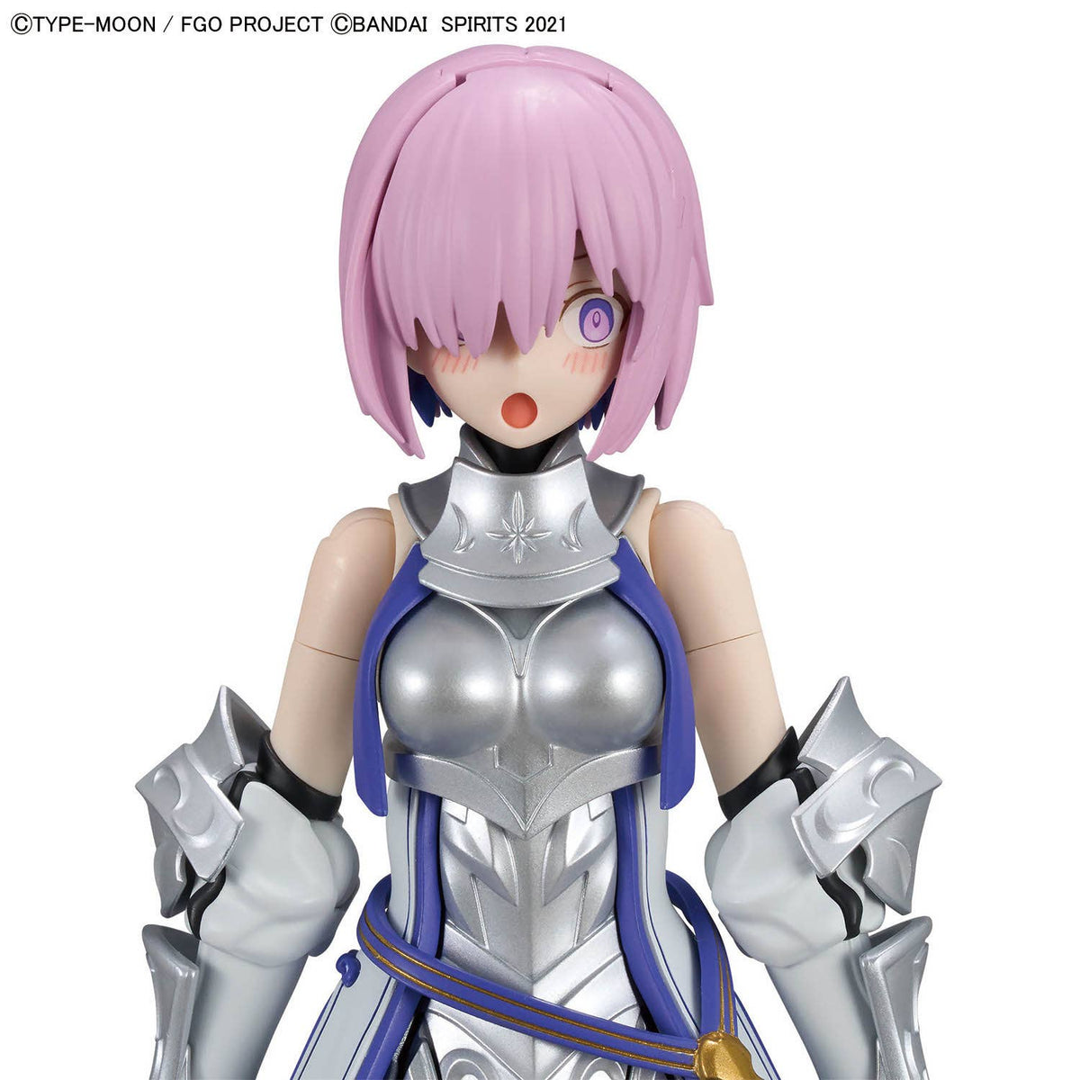 30MS Shielder / Mash Kyrielight (Paladin)