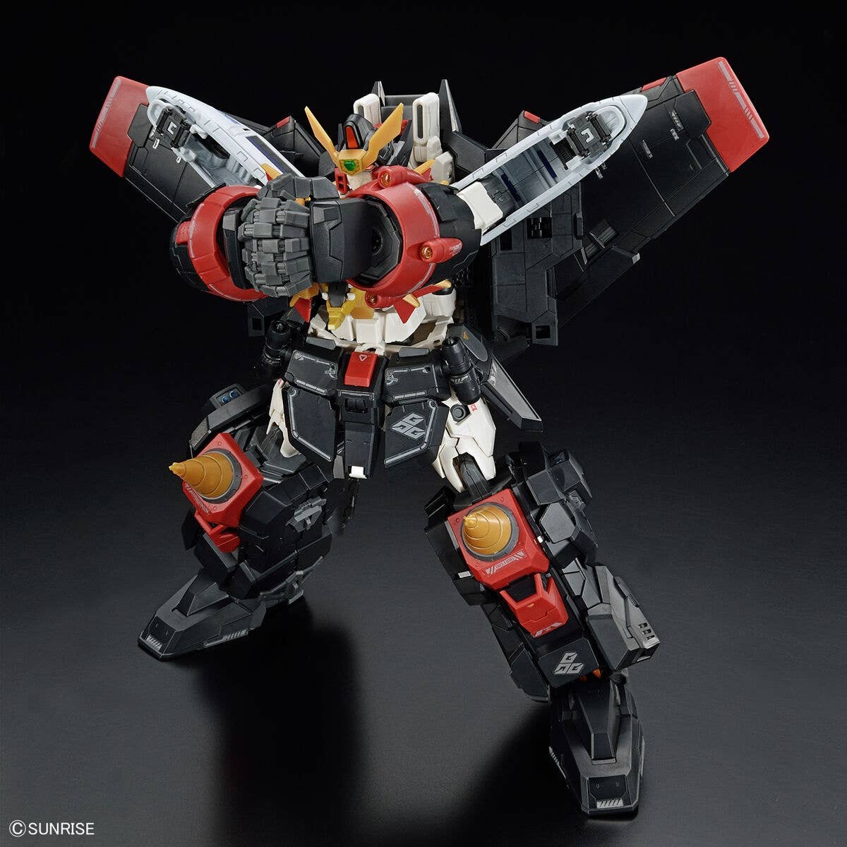 RG Gaogaigar