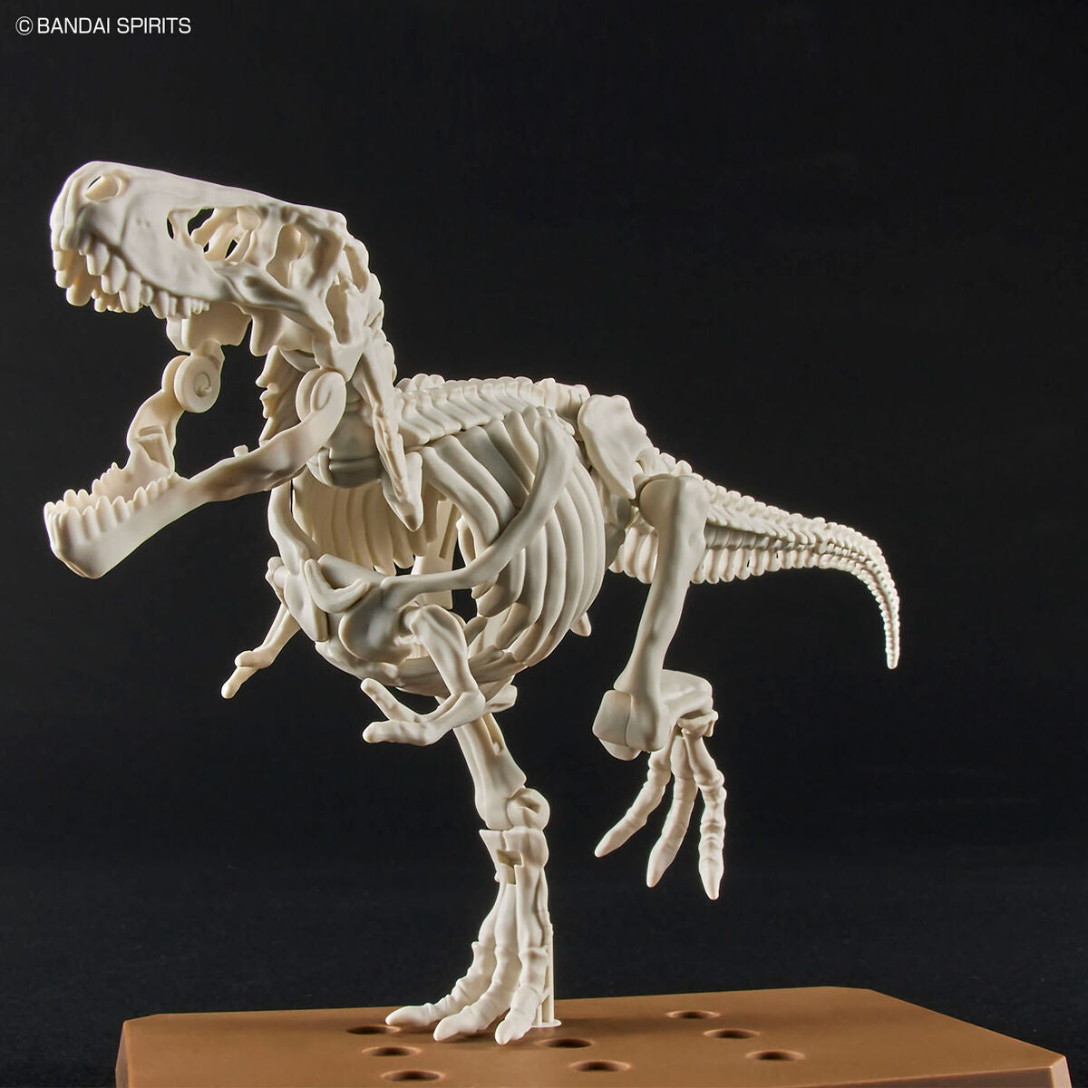 Bandai Dinosaur Model Kit Plannosaurus: Tyrannosaurus