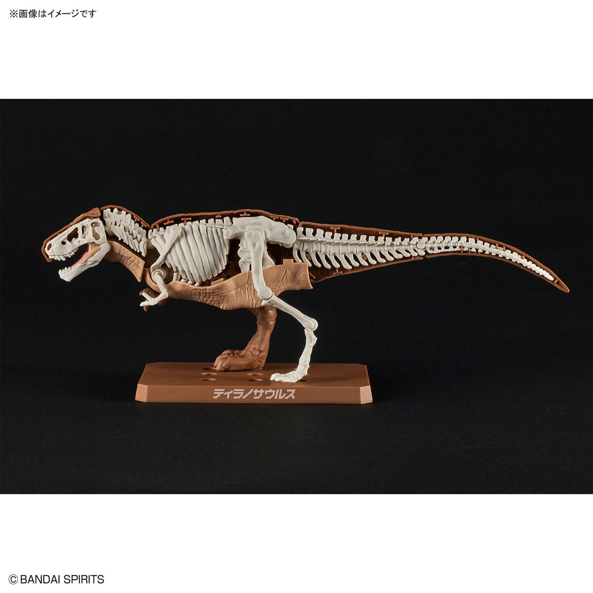 Bandai Dinosaur Model Kit Plannosaurus: Tyrannosaurus