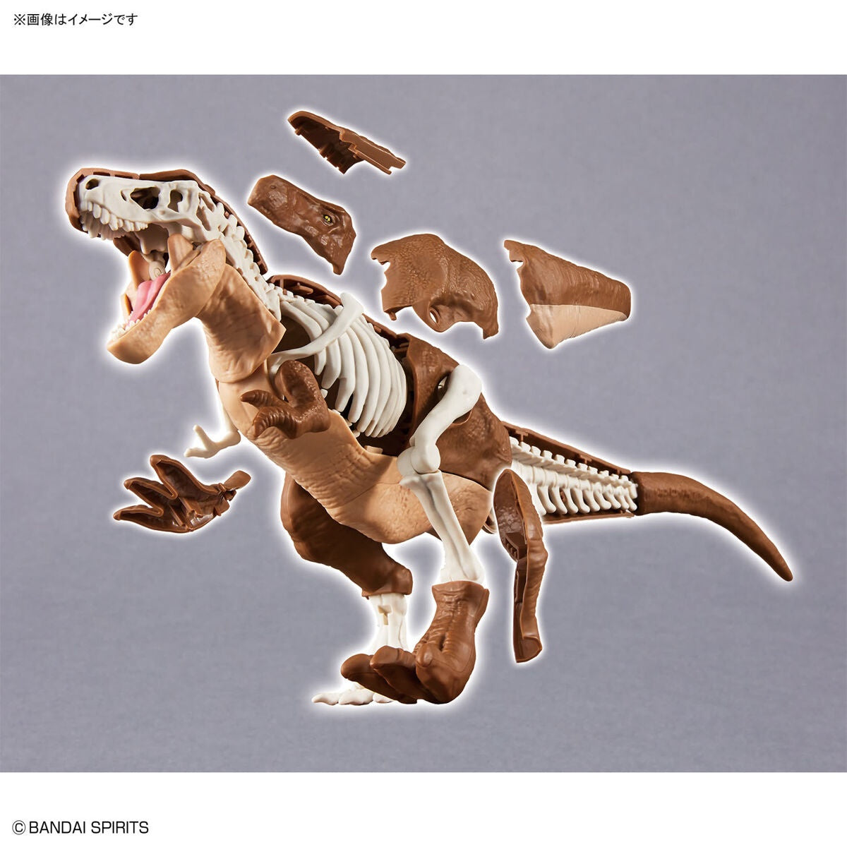 Bandai Dinosaur Model Kit Plannosaurus: Tyrannosaurus