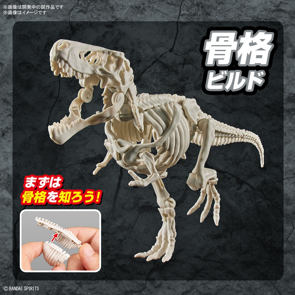 Bandai Dinosaur Model Kit Plannosaurus: Tyrannosaurus