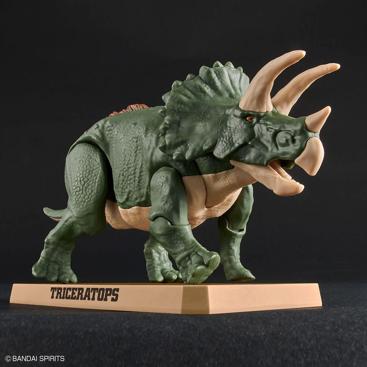 Bandai Dinosaur Model Kit Plannosaurus: Triceratops