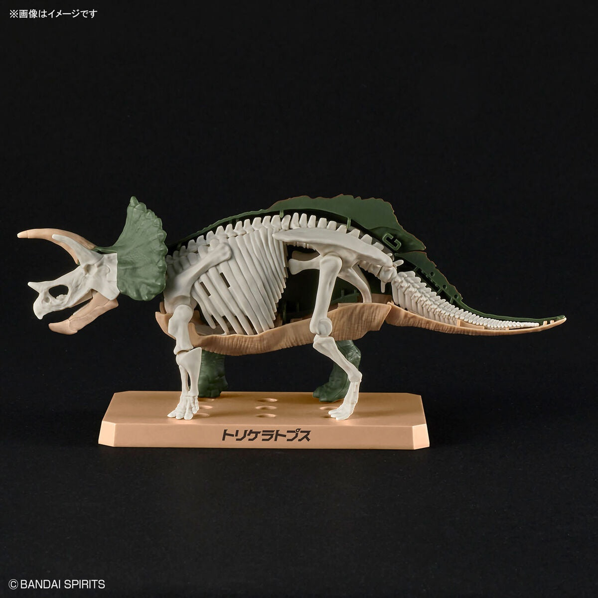 Bandai Dinosaur Model Kit Plannosaurus: Triceratops