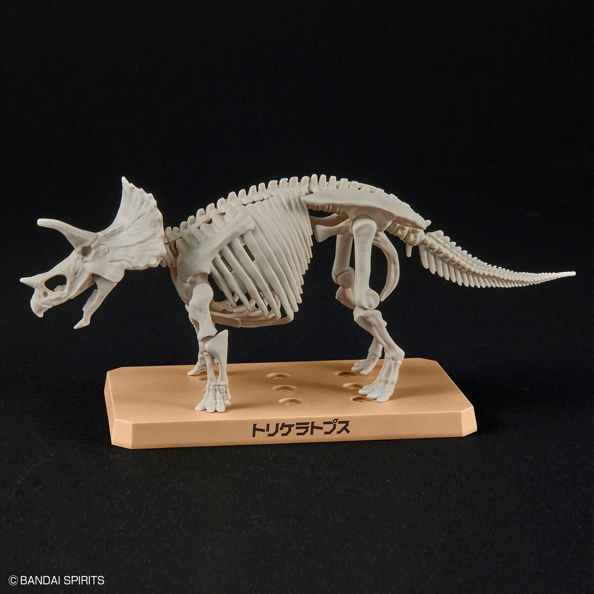 Bandai Dinosaur Model Kit Plannosaurus: Triceratops