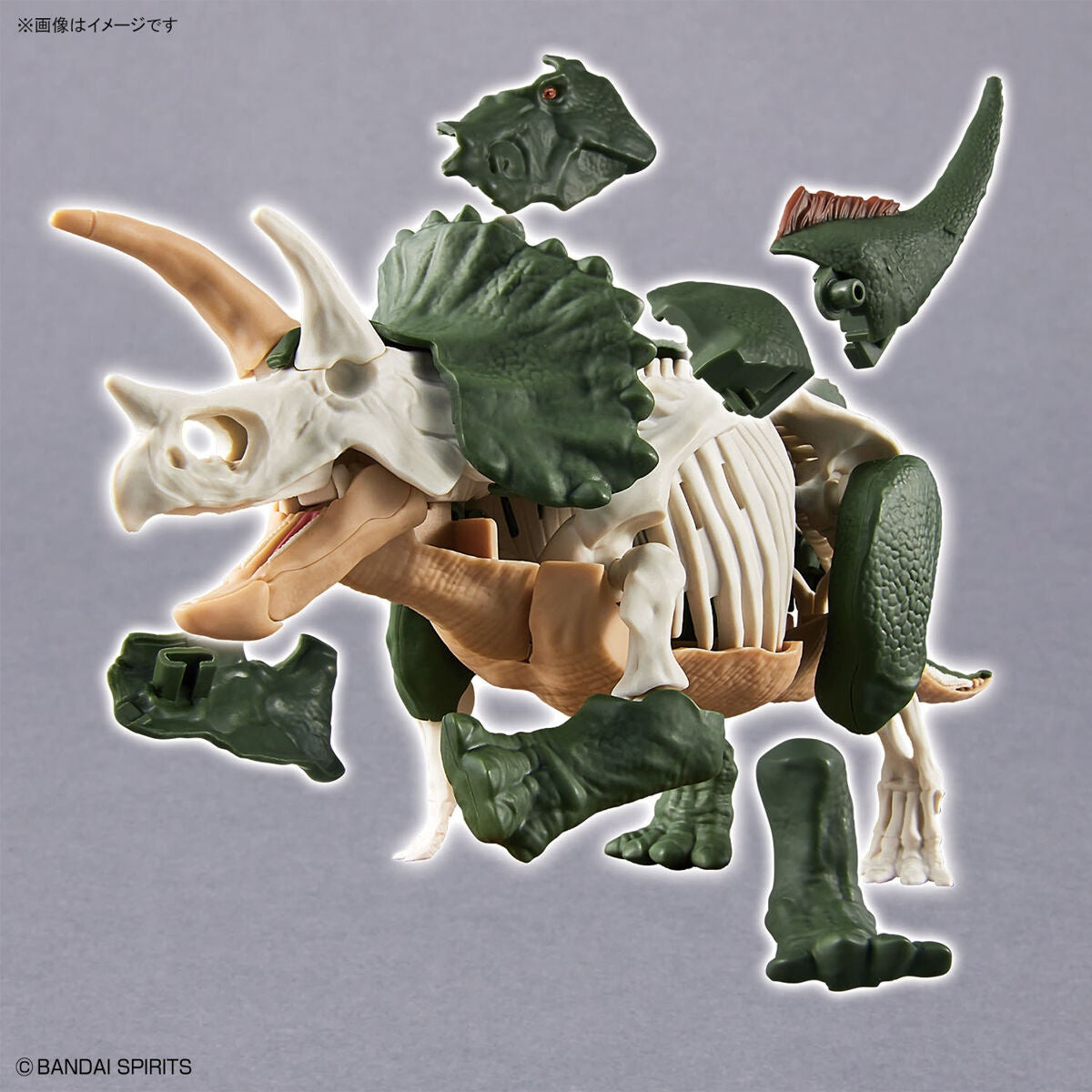 Bandai Dinosaur Model Kit Plannosaurus: Triceratops