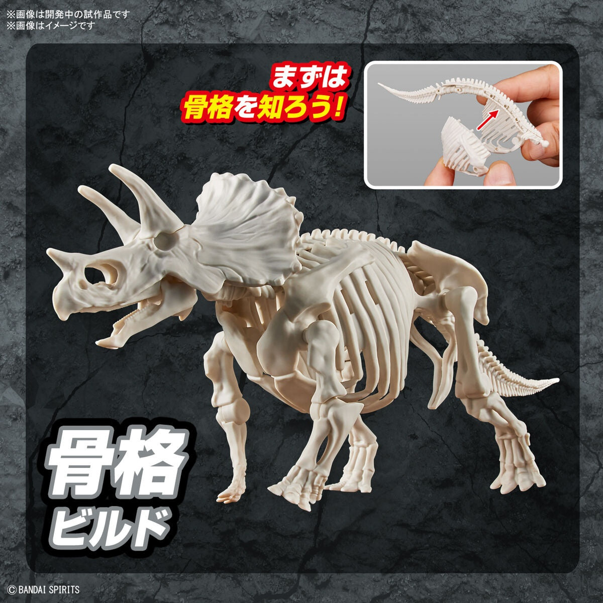 Bandai Dinosaur Model Kit Plannosaurus: Triceratops