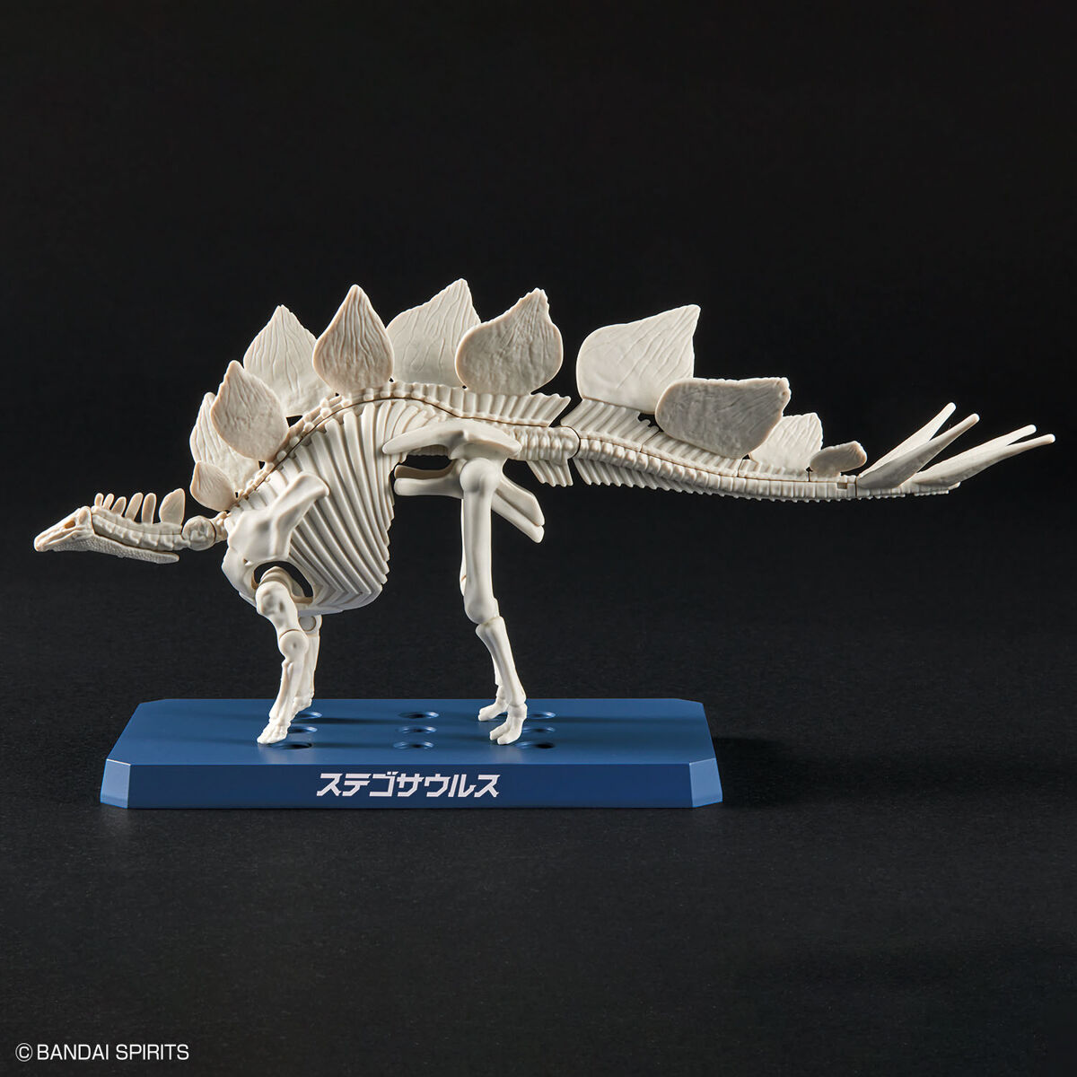 Bandai Dinosaur Model Kit Plannosaurus: Stegosaurus