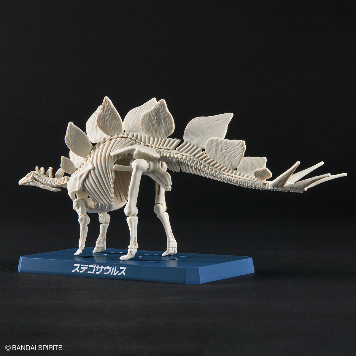 Bandai Dinosaur Model Kit Plannosaurus: Stegosaurus