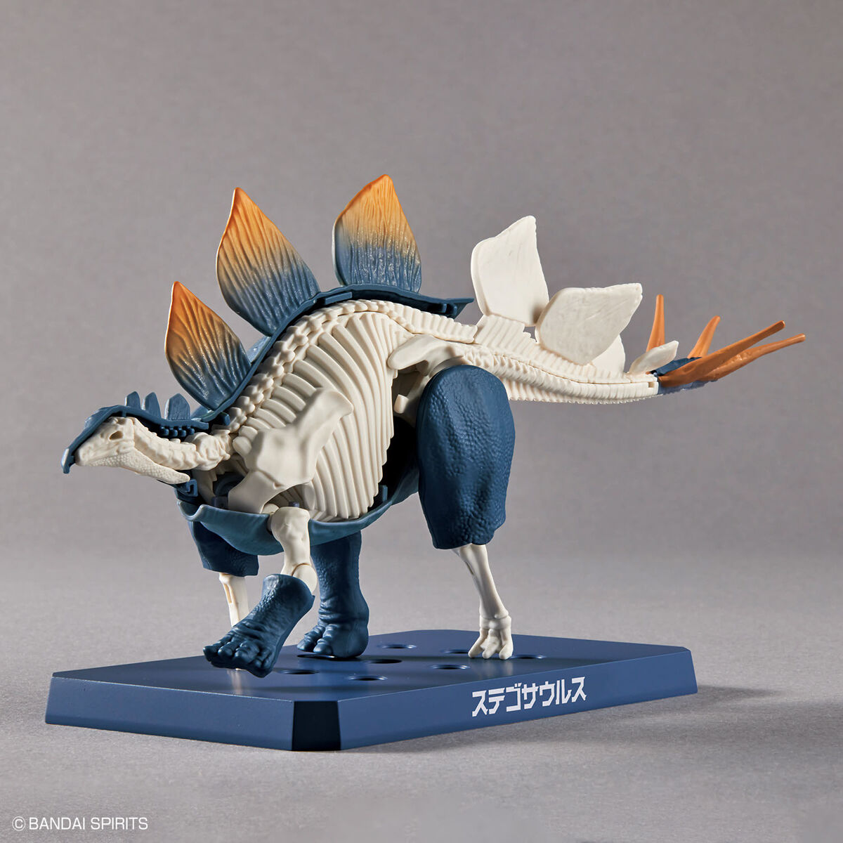 Bandai Dinosaur Model Kit Plannosaurus: Stegosaurus