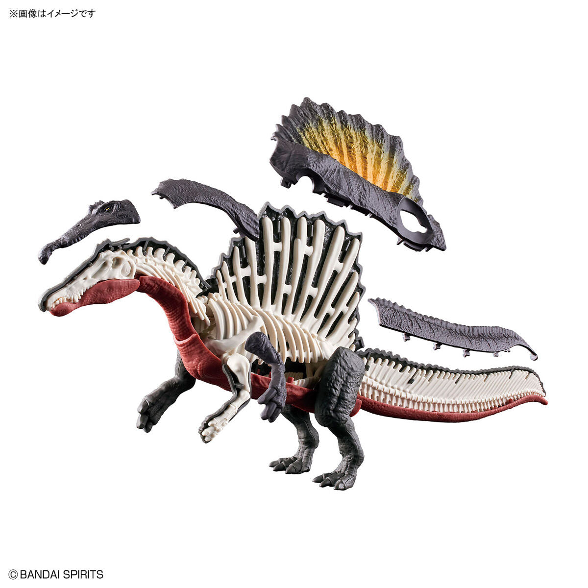 Bandai Dinosaur Model Kit Plannosaurus: Spinosaurus