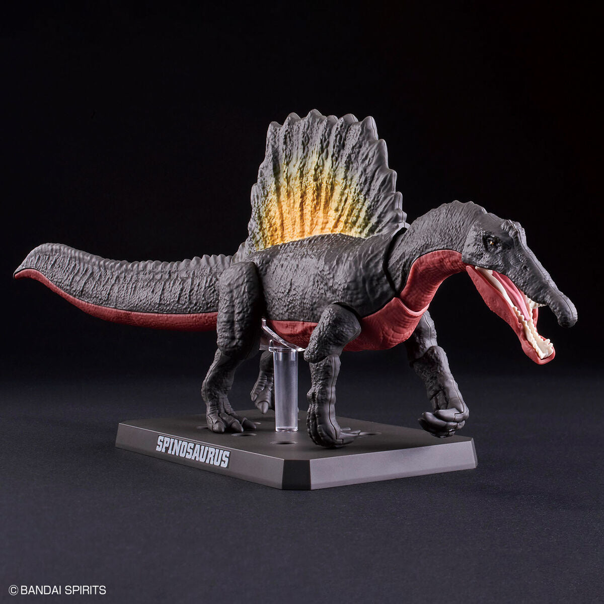 Bandai Dinosaur Model Kit Plannosaurus: Spinosaurus